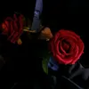 zzali.6