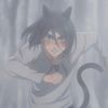 momo.is.a.simp