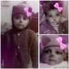masim536