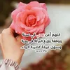 zizo.mis