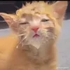 paixao.samara