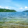 ronnn_manulang