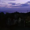 laurazzz4
