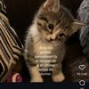 patroncita_13