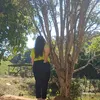 cidaribeiro045
