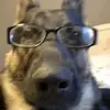 rickhenrique_z