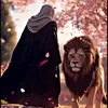 mohamadhusam0
