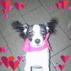user878168695