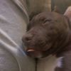 charlieandme11