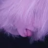 prjzxd