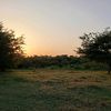 eliamd_3