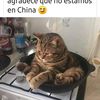 gerardosari