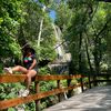 cinthya23.romero