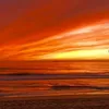 fantastica_55