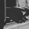 user811955083