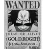 pirategol.d.roger