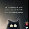 killa_9209