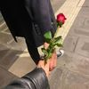 amany_an