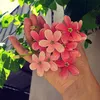 shoplinhtinh1302