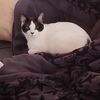 pennywalker49