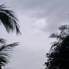 user6239025088111