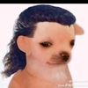 chinomamon01