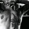 cuervo_79