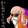 kamesen11