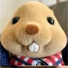 piepiekitti