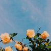 simple.flower