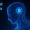 cryptolexo