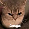 ugly_sempai