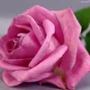 layalmlral