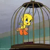 deni