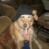 ramfrnco