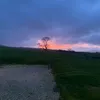 joelyledingham_