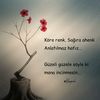 hayaldibitti_4
