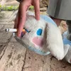 babymanatees