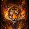 firetiger30