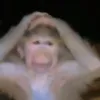 tranhoangduy79