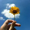 umaflorzinha011
