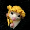 luca_leucistic