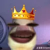 dxhaothw