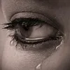 user28281386
