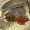 justvicky02