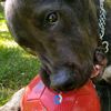 mali072305