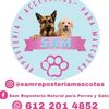 samreposteriamascotas