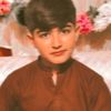 ismailshah8668