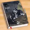 pazmartin16