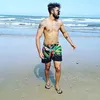 quixelosantos